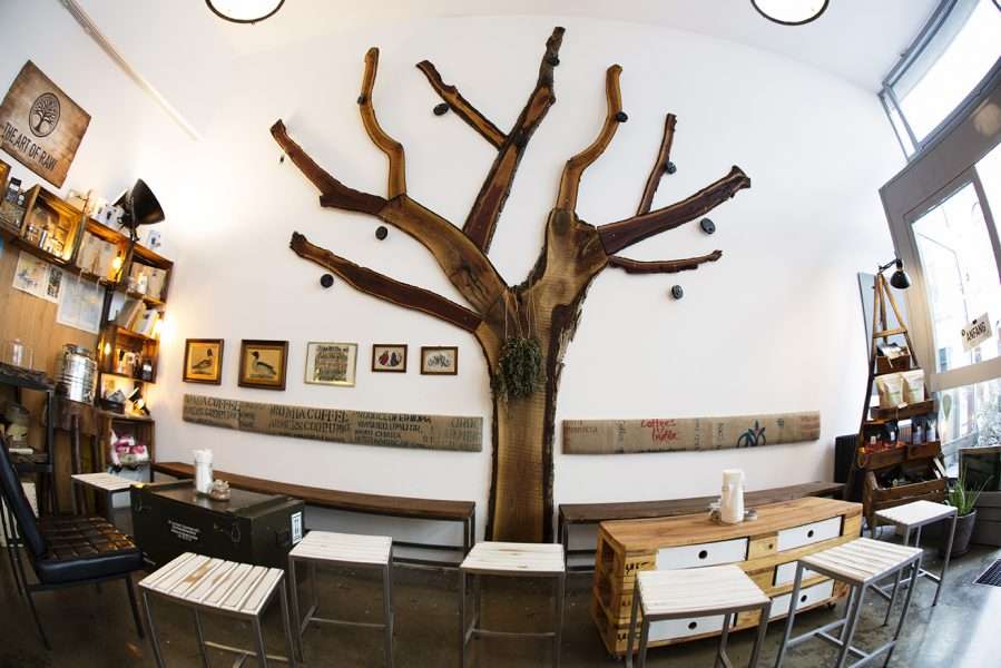 Baum_klein Kopie